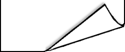right_bottom_corner4.gif (4292 bytes)
